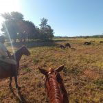 Discovering a New Passion!